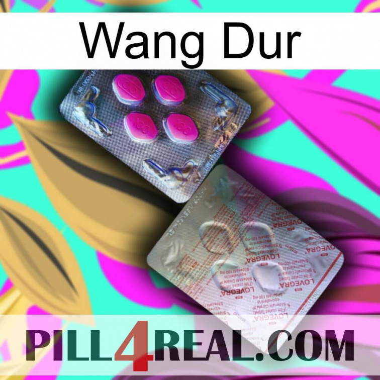 Hard Wang 38